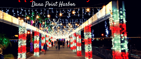 Festival of Lights - Dana Point Harbor lighted walk